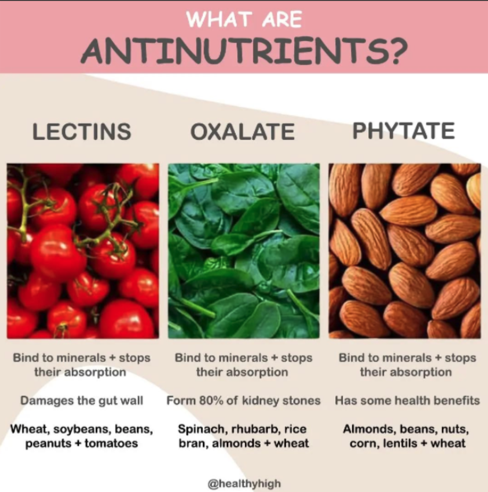 Foods and habits that can block nutrient absorption — caffeine, fiber, phytates, oxalates